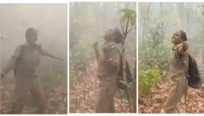 आग लागलेल्या जंगलावर भोलेनाथची कृपा, सरी बरसल्यामुळे पोलीस महिलेकडून आनंद व्यक्त : VIDEO 
