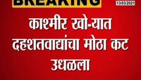 VIDEO|काश्मीरमध्ये सुरक्षा दलाची मोठी कारवाई, 7 दहशतवाद्यांना अटक