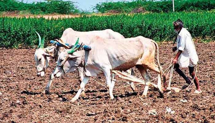  PM KISAN : शेतकरी मायबापांनो तुमच्या हक्काचे एवढे पैसे, या तारखेला तुमच्या खात्यात येणार, जाणून घ्या प्रक्रिया