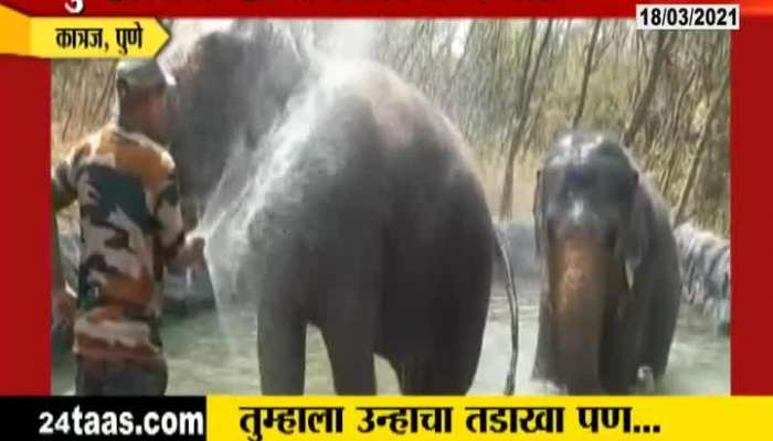Pune Meera And Janaki Elephant Take Bath Daily 3 Time In A Day