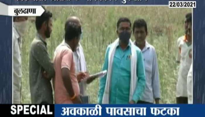  Buldhana Farmers In Trouble Due To Unsesasonable Rain