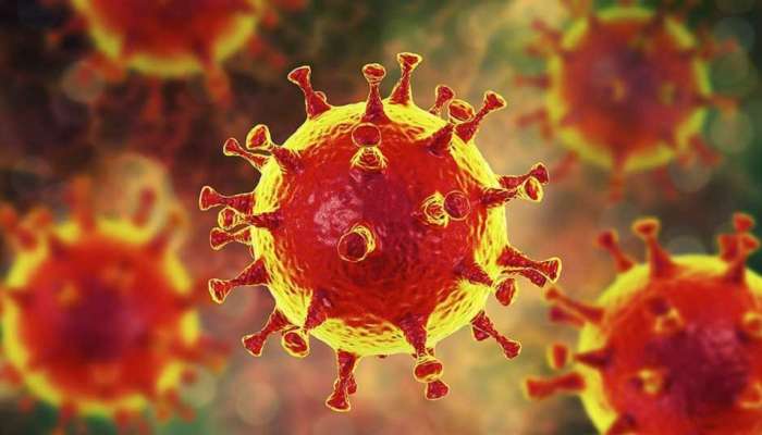 आता आलाय खतरनाक हायब्रिड कोरोना व्हायरस; जगभरातील शास्त्रज्ञांच्या चिंतेत वाढ