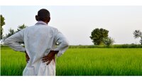PM KISAN | शेतकरी मायबापांनो, 6 हजार रूपये हातचे जाऊ देऊ नका, ही आहे शेवटची तारीख
