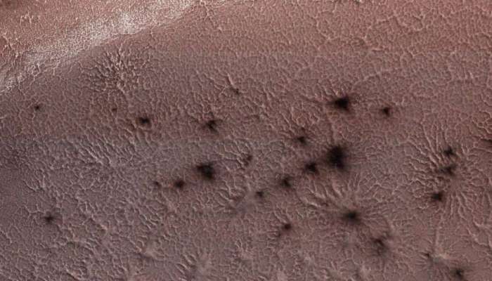 Spiders on Mars : मंगळावर &#039;कोळी&#039;चं अस्तित्व, संशोधकांच्या अभ्यासात Mars Mission ट्विस्ट 