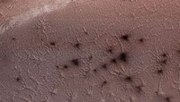 Spiders on Mars : मंगळावर 'कोळी'चं अस्तित्व, संशोधकांच्या अभ्यासात Mars Mission ट्वि