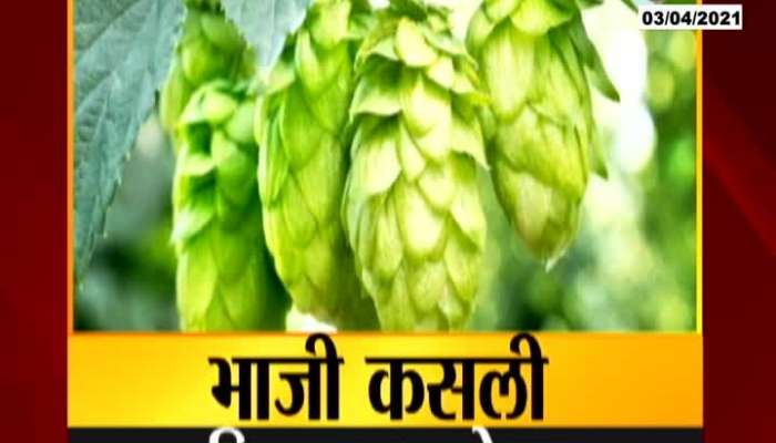 Bihar Farmers Fake Crop