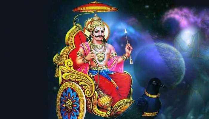 Horoscope : ही वनस्पती लावल्यास तुम्हाला शनी साडेसातीपासून मुक्ती मिळेल, महालक्ष्मीसुद्धा प्रसन्न होईल !