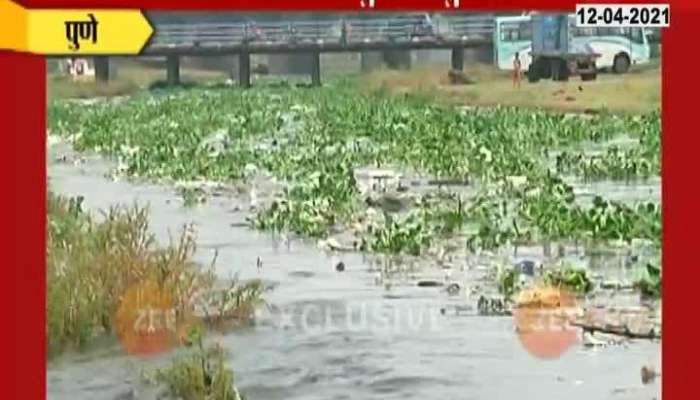 Pune Mula River Polluted After Uncertain Rain