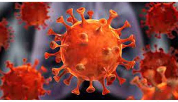 Corona Virus | कोरोनाच्या संसर्गाने २ आयएएस अधिकाऱ्यांचाही मृत्यू