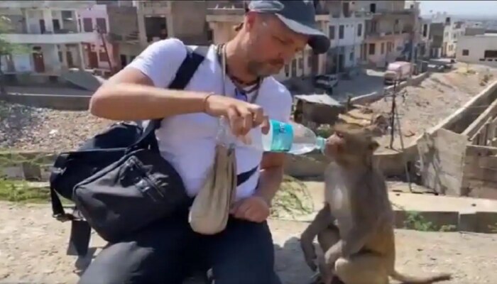 Viral Video : तहानलेल्या माकडाला पाणी पाजल्यानंतर माकडाने कशी मैत्री केली...पाहाच