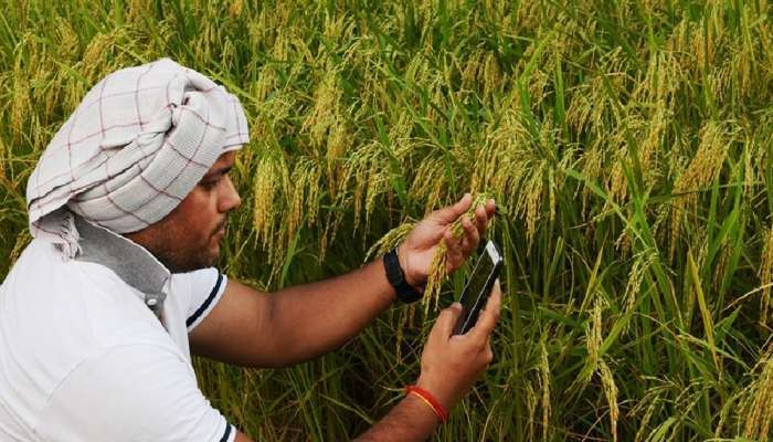 PM kisan Scheme | लवकरच शेतकऱ्यांच्या खात्यात पैसे जमा होणार; बँलेन्स चेक करण्यासाठी क्लिक करा 