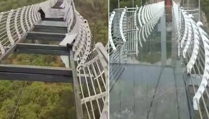 Glass Bridge खराखुरा तुटला, 330 फूट उंचीवर अडकला तरुण