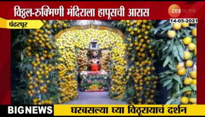 Pandharpur Vithal Rukhmani Temple Decorated With Alphonso Mangoes