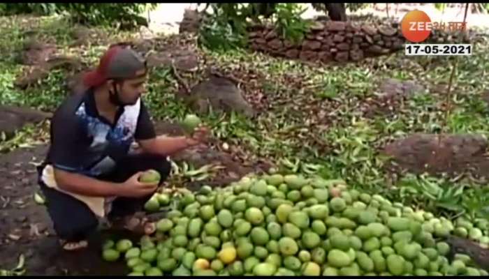 cyclone tauktae impact on ratnagiri mango