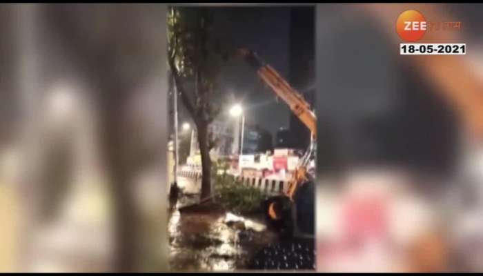 Mumbai Worli Crane Collapse While Cutting Branches Of Tree One Injured