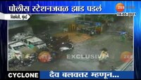 झाड कोसळले : दैव बलवत्तर म्हणून महिलांचा जीव वाचला