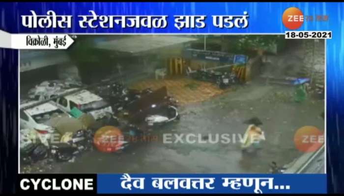 Mumbai Vikroli Three Womens Survive From Huge Tree Fall Cyclone Tauktae