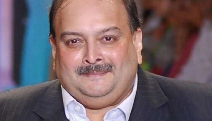 Big News : फरार  हिरे व्यापारी मेहुल चोक्सी याला अटक, भारतात आणणार?