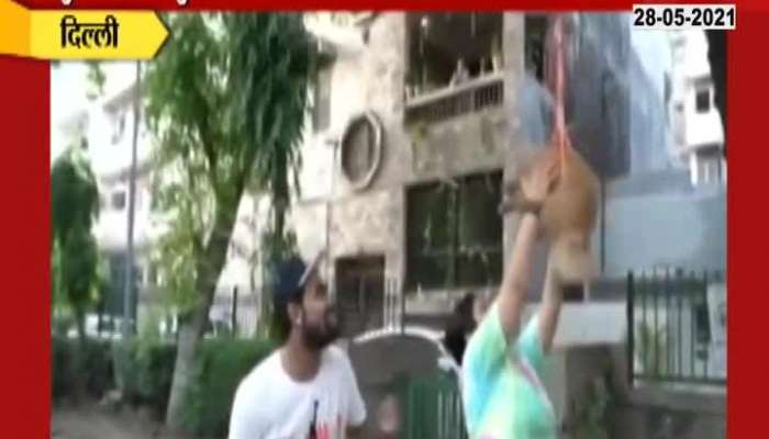 DELHI YOUTUBER GAURAV JAIN ARRESTED FOR BALLONS ATTACHED TO DOG