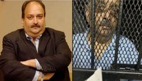 PNB Scam: फरार Mehul Choksi च्या प्रत्यार्पणासाठी प्रयत्न, डोमिनिकात खासगी जेट दाखल