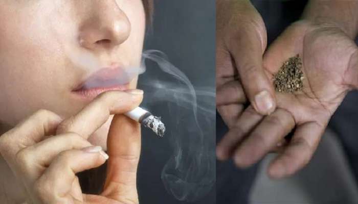 सिगारेट किंवा तंबाखू कोरोना काळात पाहा कसा करताय शरीरावर गंभीर परिणाम