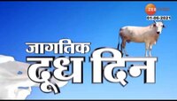 VIDEO : जागतिक दूध दिन 