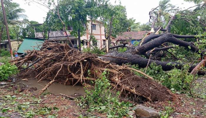 वर्षभरात दोन चक्रीवादळे पचवत रायगडकर पुन्‍हा उभा राहतोय !