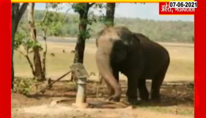 STORY OF THIRSTY ELEPHANT