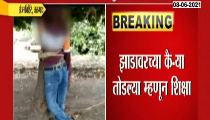 JALGAON 17 YEAR BOY PUNISHMENT FOR CATCHING A MANGO FROM TREE