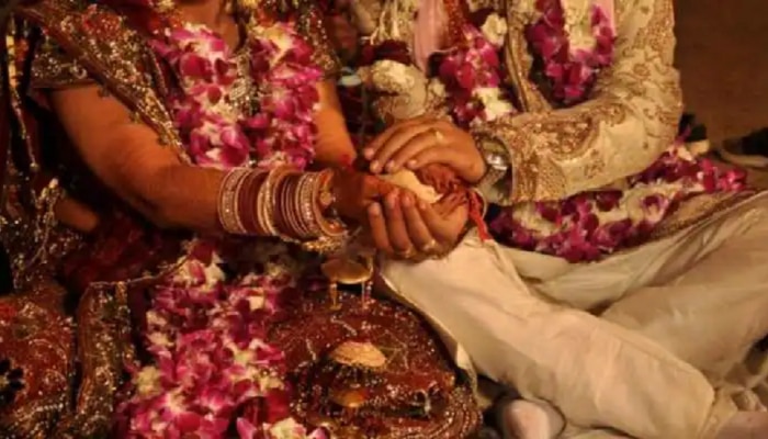 Viral Video: या लग्नात मोठी पंगत, लग्नात एवढी मोठी आणि अशी पंगत कुणीच दिली नसेल