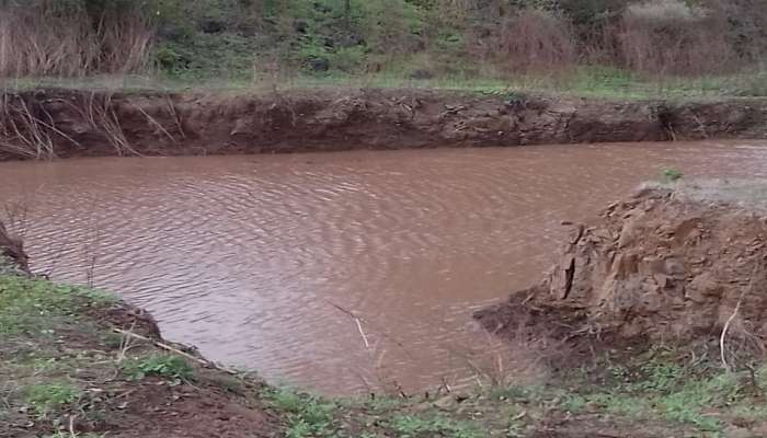 तलावात बुडून एकाच कुटुंबातील तीन मुलांचा मृत्यू, एकाला वाचविण्यात यश