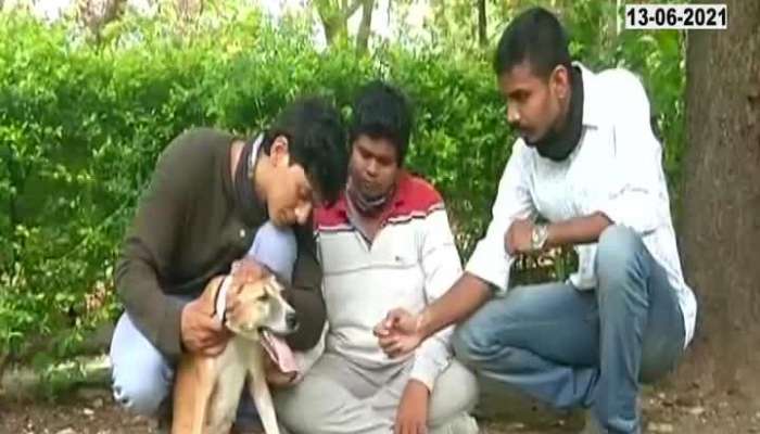 AURANGABAD YOUNGSTERS HELP TO DOG FOR ROAMING BY WHEELCHAIR