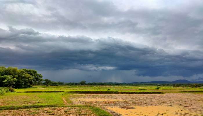 राज्यात पुढील आठवडाभर पावसाची उसंत, हवामान खात्याची माहिती 