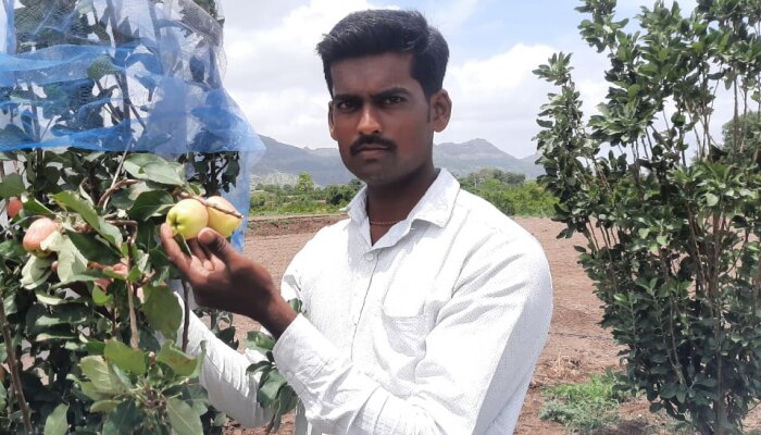 Farmer success story : डाळींबाच्या माहेरघरात फुलली सफरचंदाची बाग