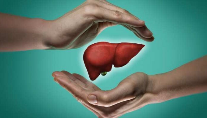 वेळीच उपचार केले तर जीव वाचेल, liver damage होतंय याचा इशारा देतात ही ९ लक्षणं वेळीच उपचार केले तर जीव वाचेल, liver damage होतंय याचा इशारा देतात ही ९ लक्षणं