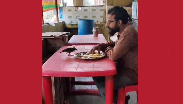 'दाने दाने पे लिखा है खाने वाले का नाम' ... मनहेलावून टाकणारा व्हिडिओ