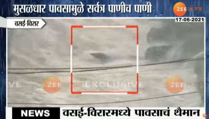 VIDEO - वसई-विरारमध्ये मुसळधार पाऊस, पुराच्या पाण्यात 3 जनावरं गेली वाहून