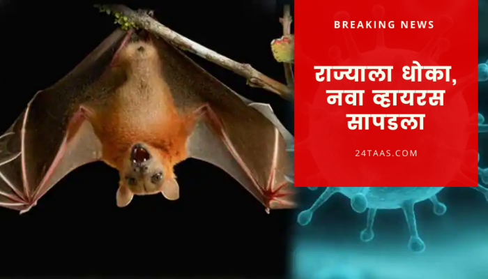 राज्यावर कोरोनानंतर आता नवे संकट, सापडला हा खतरनाक व्हायरस