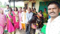 गाईसोबतचा हा सेल्फी खास आहे, कारण पशु प्रेमाचं या पेक्षा उत्तम उदाहरण कधीच ऐकलं नसेल