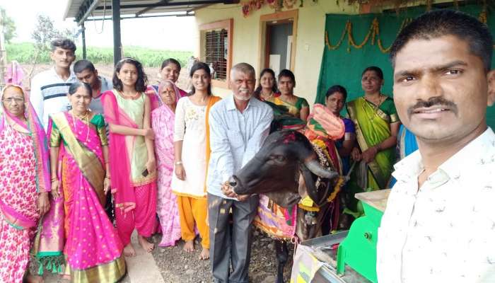 गाईसोबतचा हा सेल्फी खास आहे, पशु प्रेमाचं या पेक्षा उत्तम उदाहरण तुम्ही कधीच ऐकलं नसेल