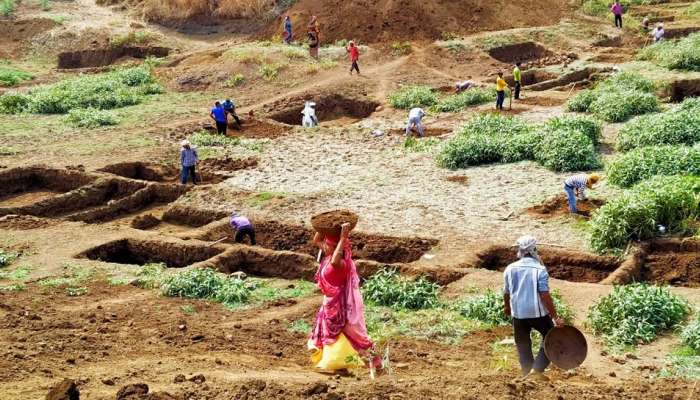 जोरदार ! रोजगार हमी योजनेच्या कामाचा डंका; राज्यात सर्वाधिक कामे मेळघाटात