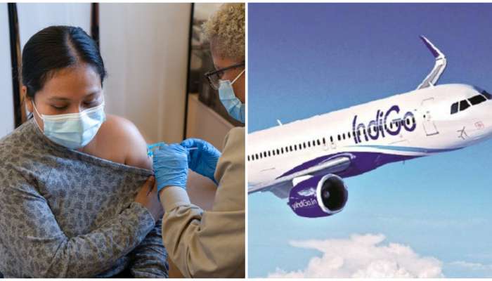 व्हॅक्सीन घेतलेल्या व्यक्तींसाठी Indigo ची धमाकेदार ऑफर; मिळणार एवढं डिस्काऊंट