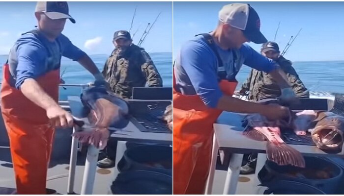 Viral video : माशाच्या पोटात, या माणसाला असा जॅकपॉट लागला, तो लखपती तर नाही झाला पण........