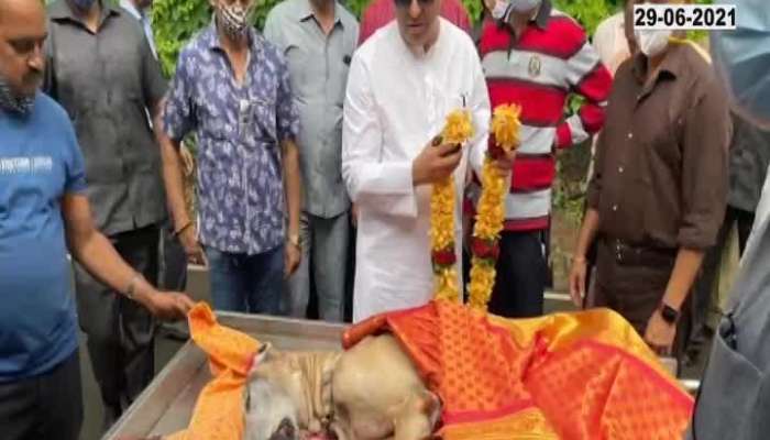 Raj Thackeray's beloved dog James dies