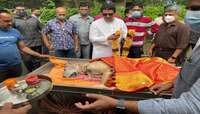 राज ठाकरेंचा श्वान 'जेम्स'ला अखेरचा निरोप... झाले भावूक 