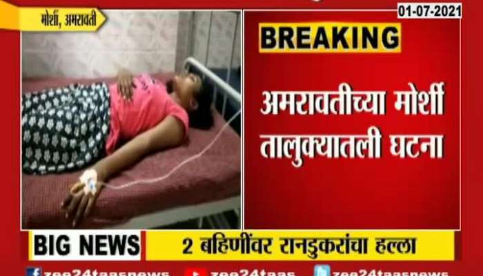 Amravati Two Sister Attacked By Animal At Time Searching For Mobile Network