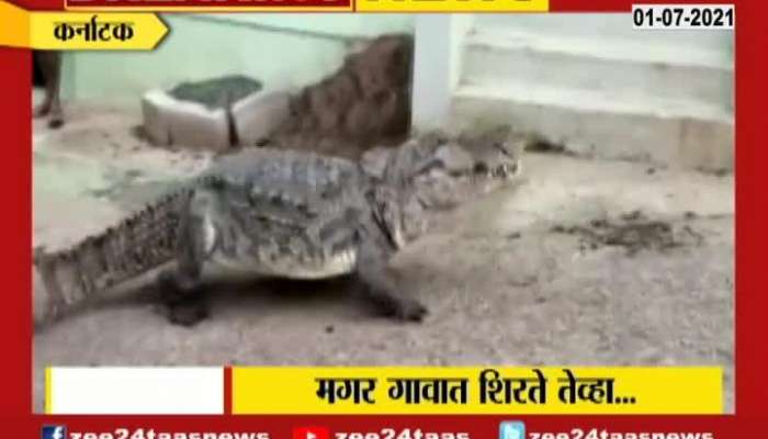 KARNATAKA CROCODILE ON ROAD