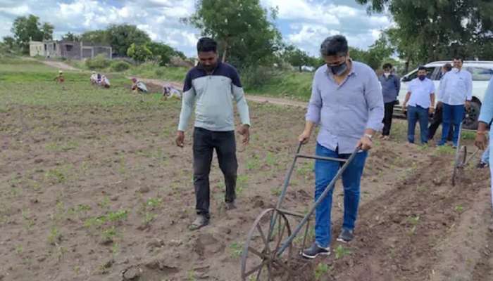 आजोबांच्या पावलावर नातवाचं पाऊल, आमदार रोहित पवारांच्या हाती कोळपणी