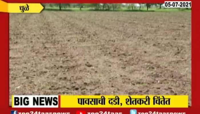 Dhule Nandurba Farmer Waiting For Good Rainfall As 80 Percent Sowing On Wait