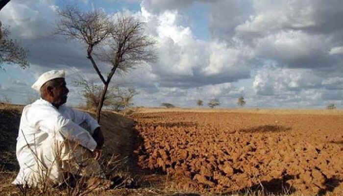 पावसाचा अंदाज, हवामान खात्यानं घालवली लाज! पाऊस गायब झाल्यानं बळीराजा हवालदिल 